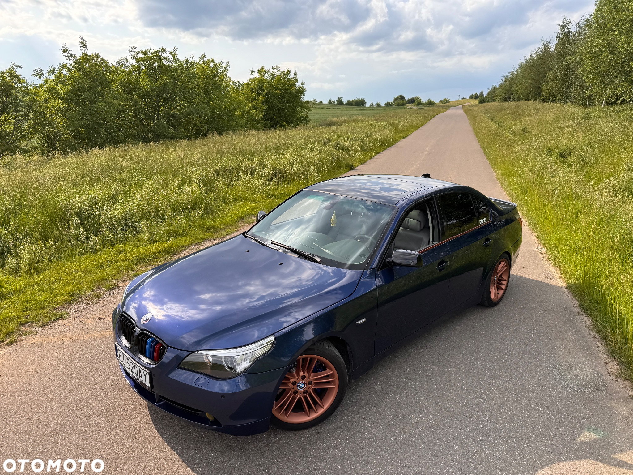 BMW Seria 5 545i - 3