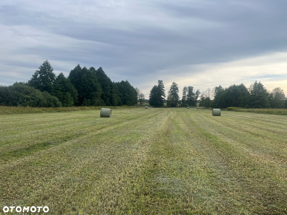 Fendt 2900V - 17