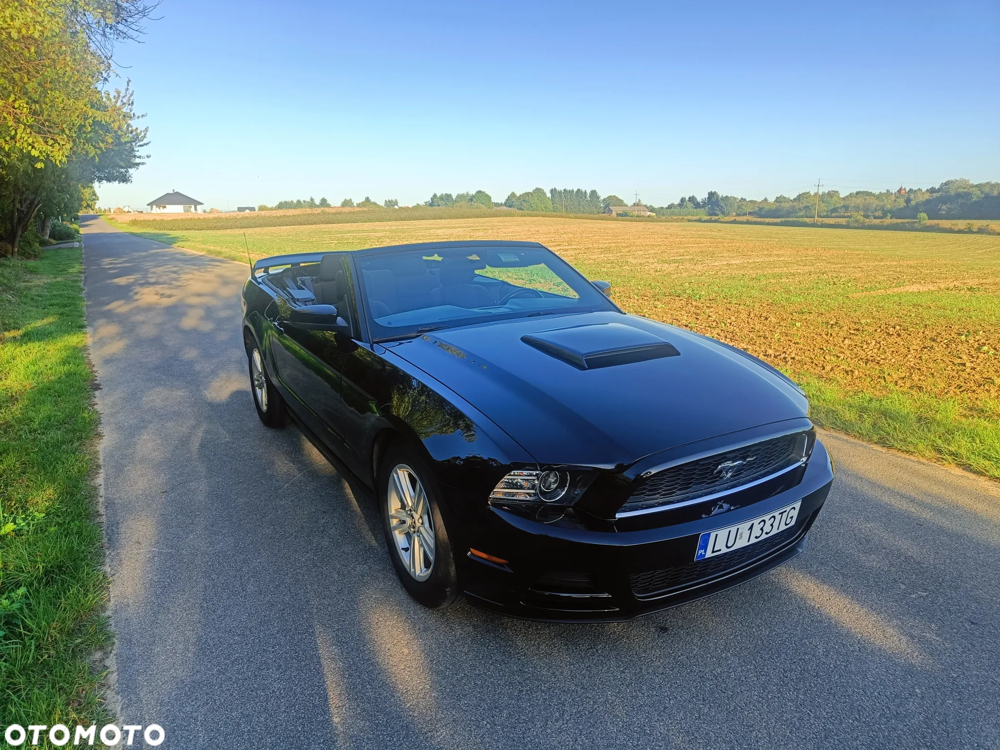 Ford Mustang 3.7 V6 - 2