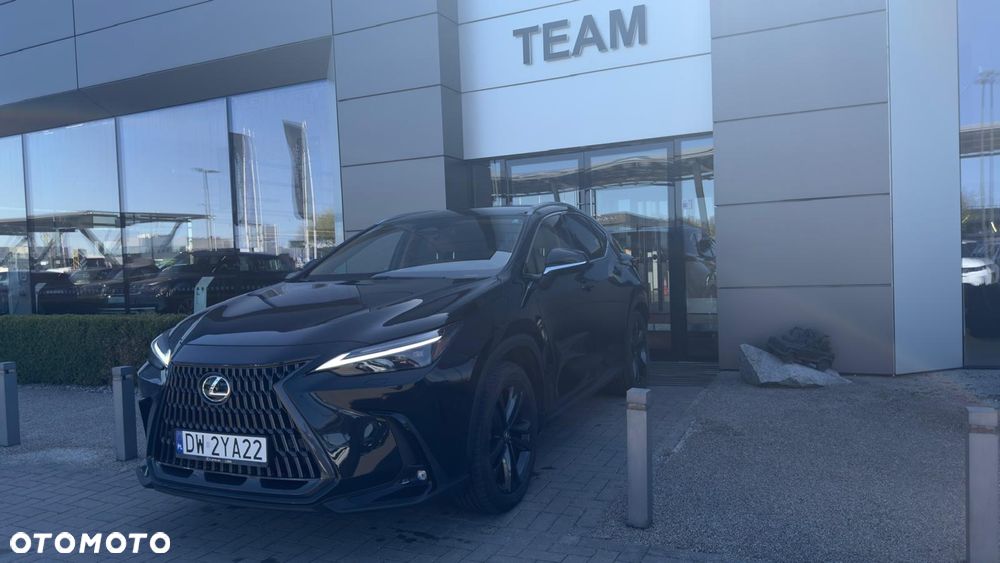 Lexus NX - 12