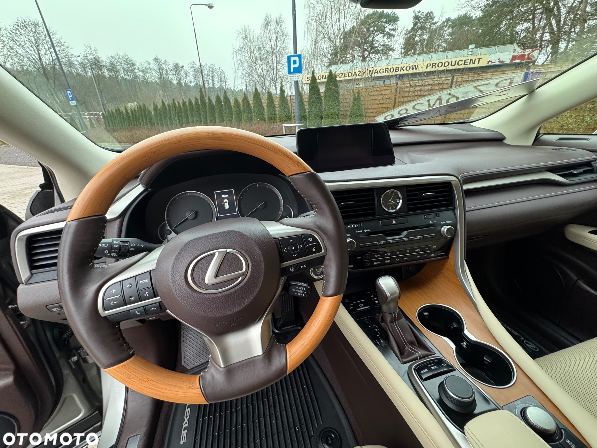 Lexus RX - 19