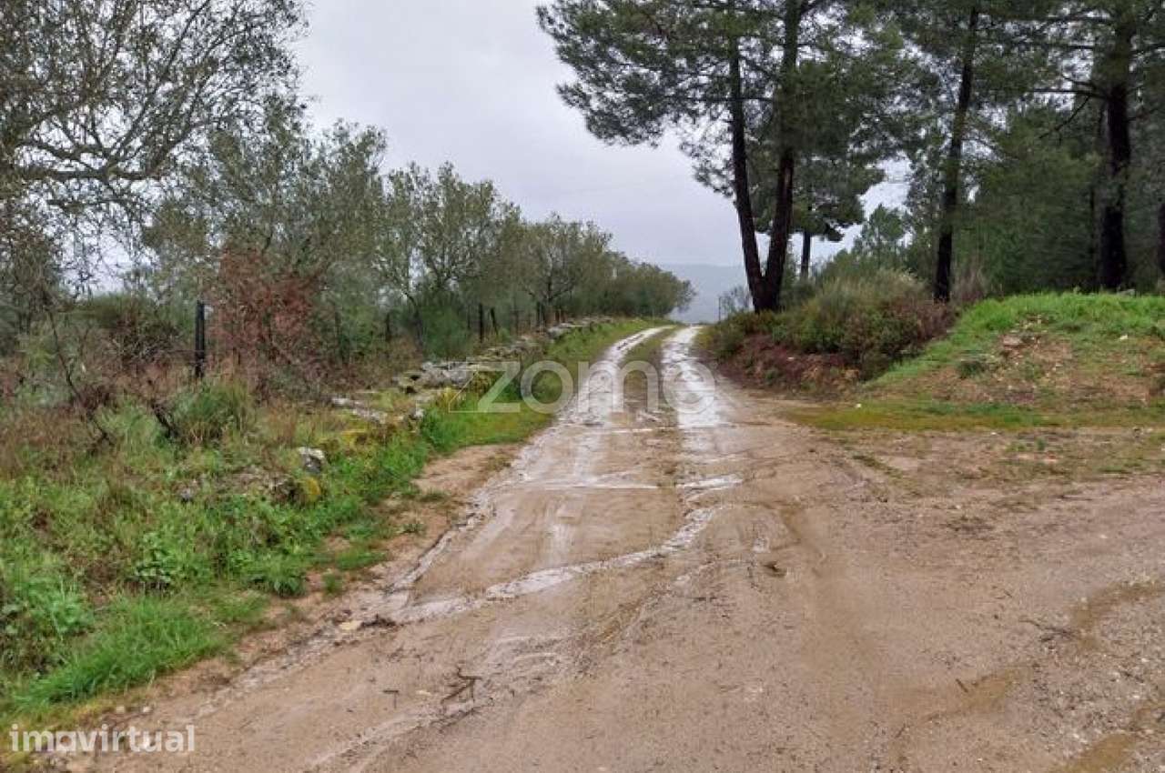 Terreno Urbanizável com Olivais| Riodades | São João da Pesqueira