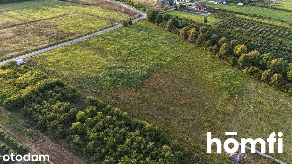 Działka inwestycyjna blisko Częstochowy 2,15 ha - Pełny obrazek: 3/7