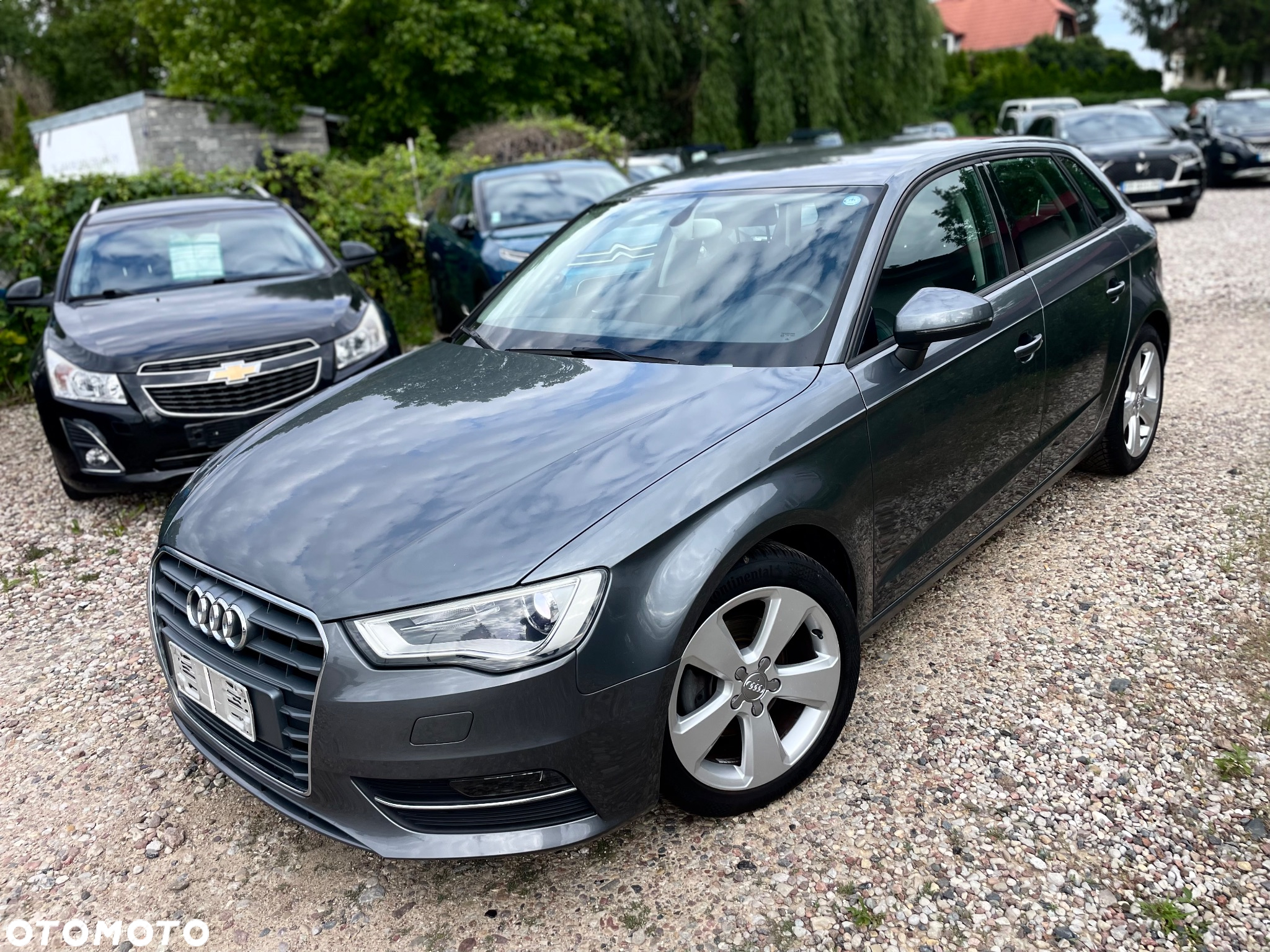 Audi A3 1.6 TDI Sport - 5