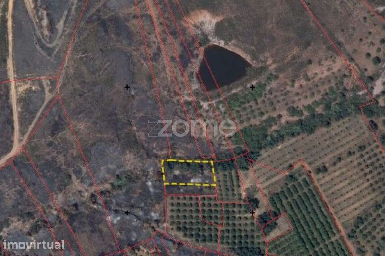 Terrenos Rústicos c/ total de 2.960m2 em Gregórios, Messines - Grande imagem: 4/15