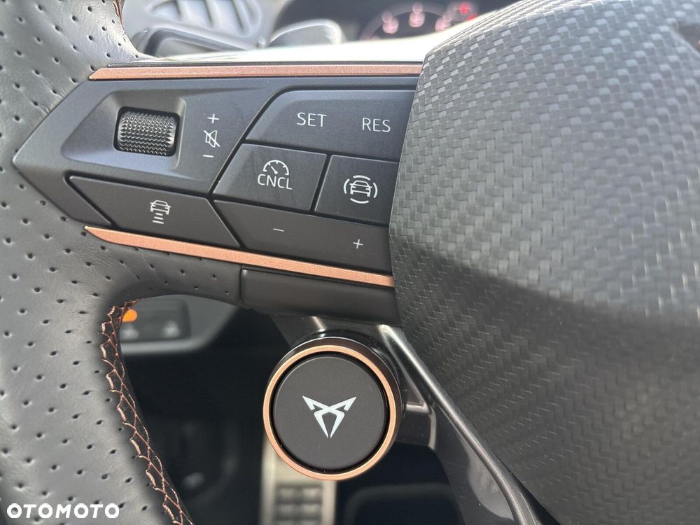 Cupra Terramar - 23