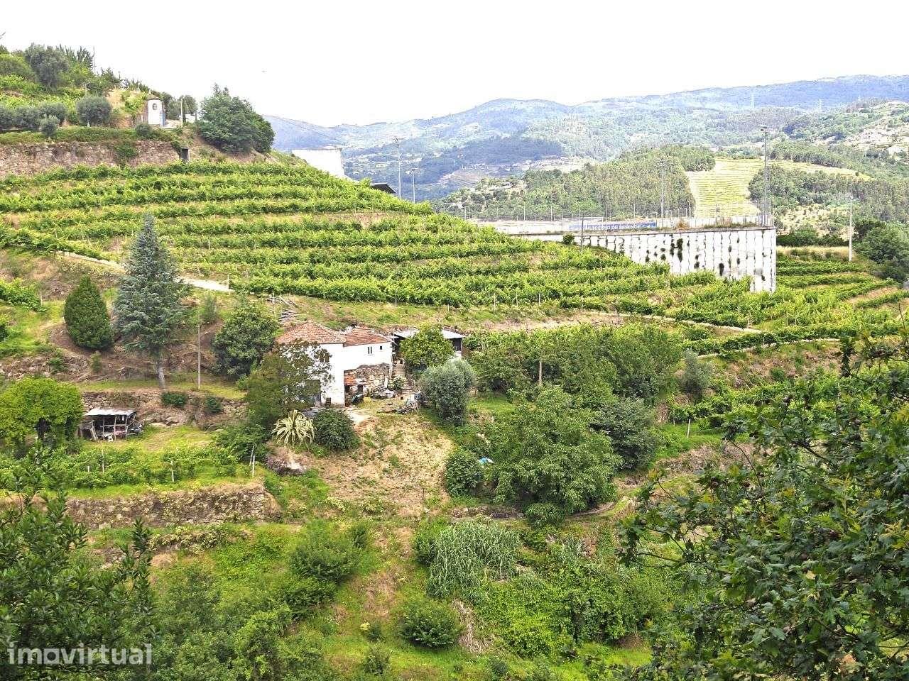 Quinta à venda em Resende, Viseu - Grande imagem: 4/17