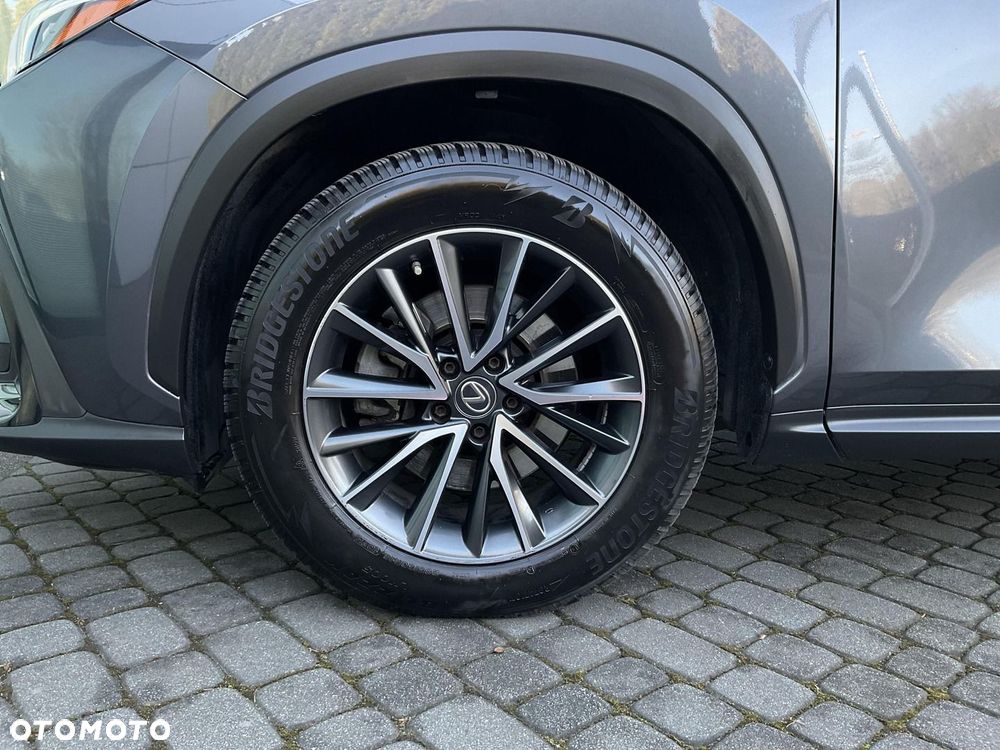 Lexus NX 350h Business AWD - 34