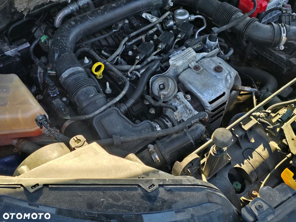 Ford EcoSport 1.0 EcoBoost GPF Navi Edition ASS - 14