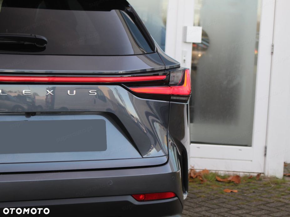 Lexus NX - 15