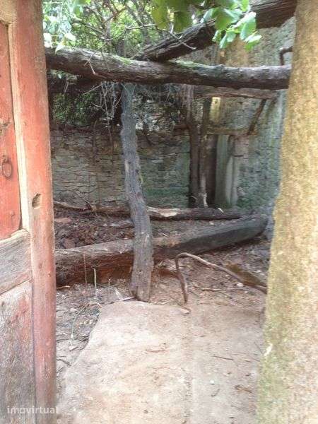 Casas para venda - Grande imagem: 3/5