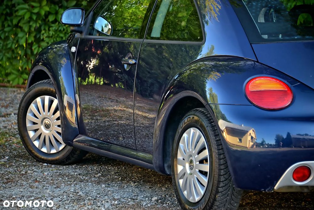 Volkswagen New Beetle - 17