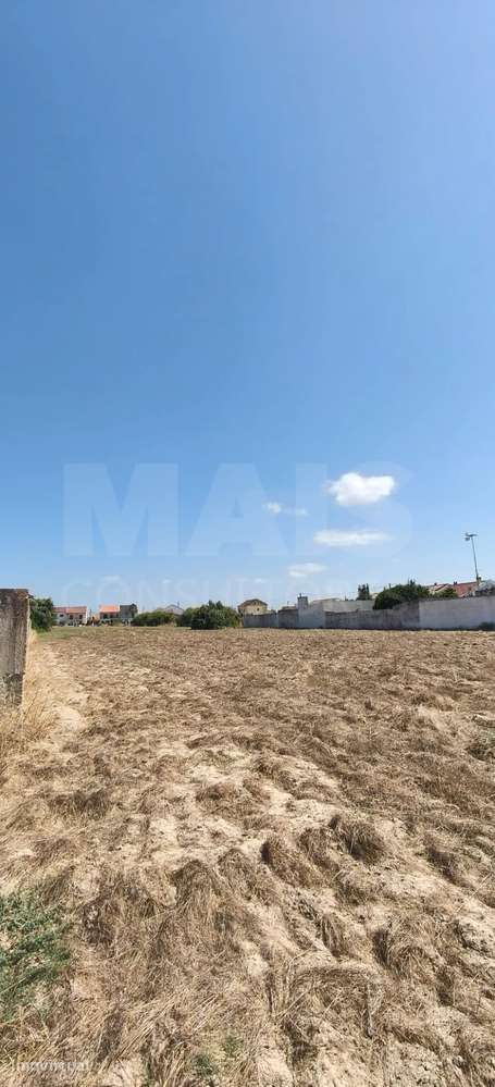Terreno Urbano para Construção | Porto Alto – Samora Correia - Grande imagem: 3/4