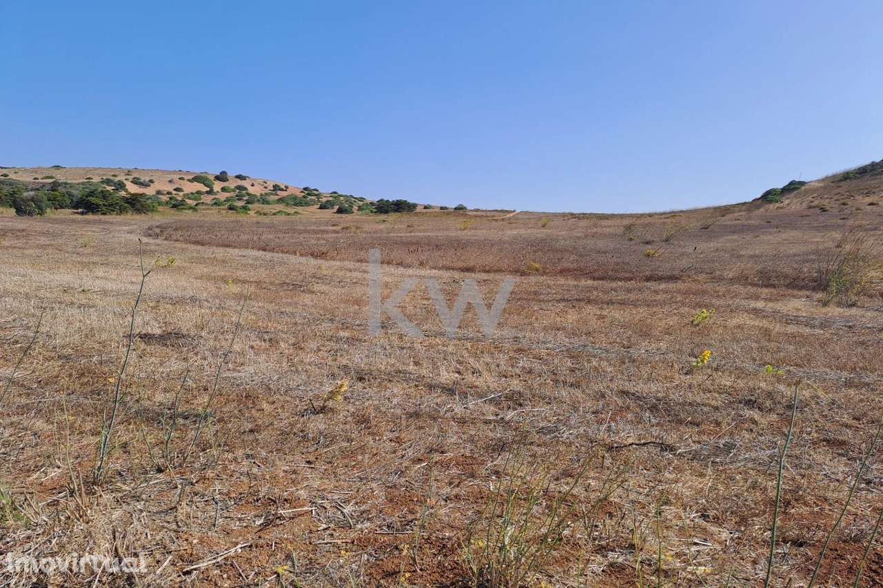 Conjunto de Terrenos Rústicos com 22760m2 perto de Raposeira - Grande imagem: 3/4