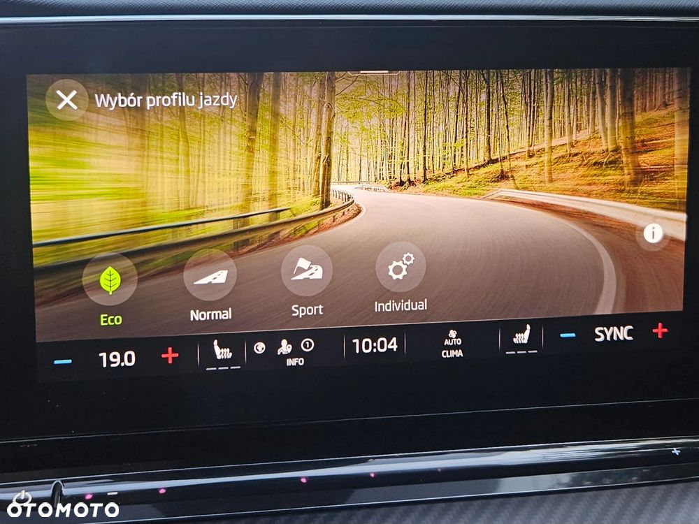 Skoda Octavia 2.0 TSI RS DSG - 22