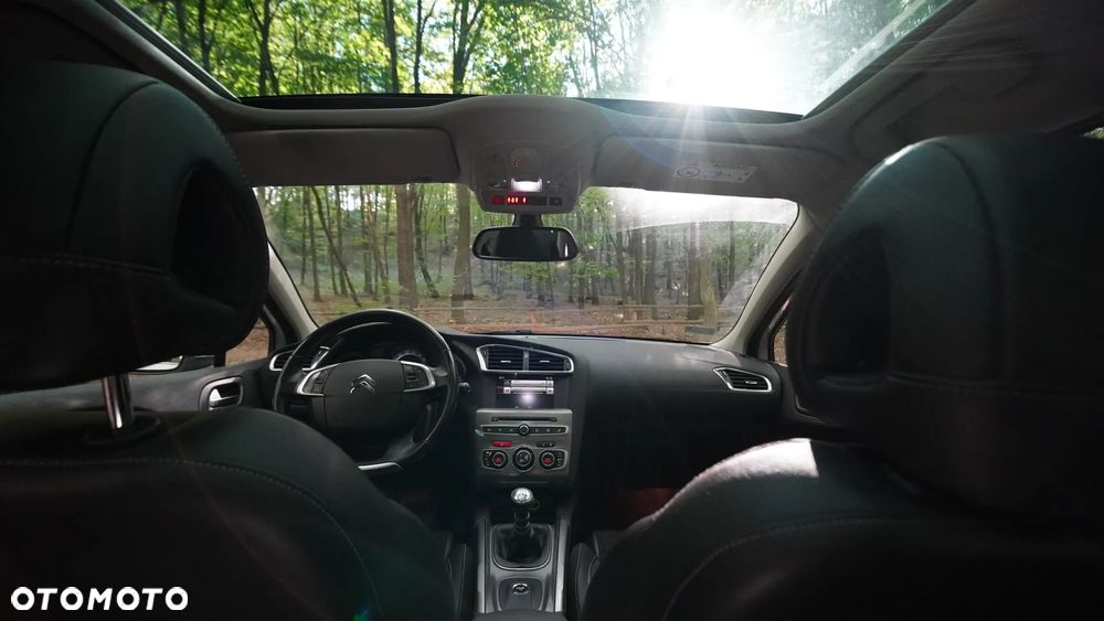Citroën C4 1.6 BlueHDi Shine S&S - 11