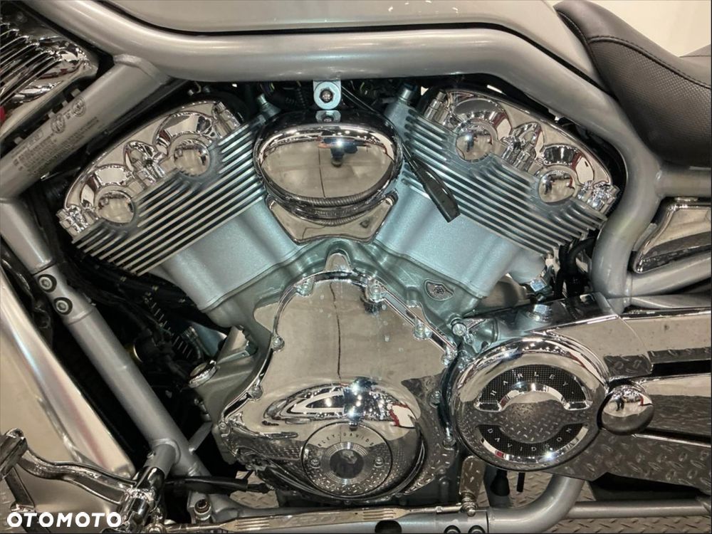 Harley-Davidson Softail V-Rod - 7