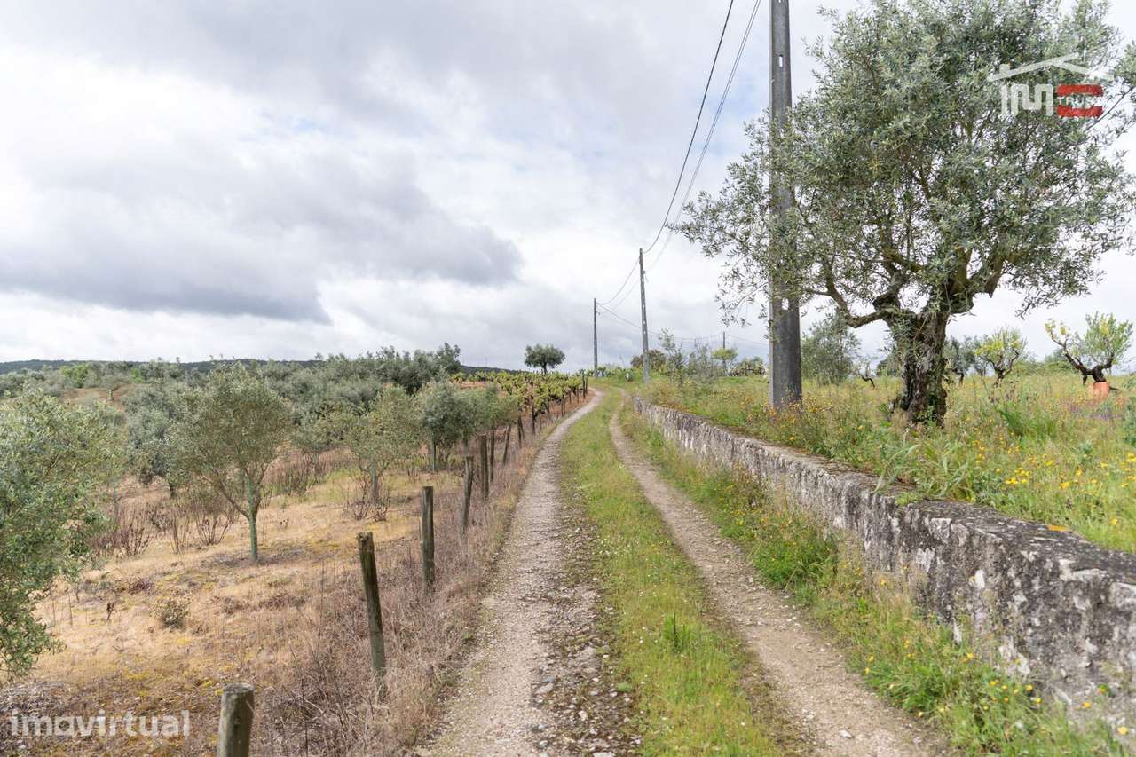 Terreno Rustico, Atouguia - Grande imagem: 2/10