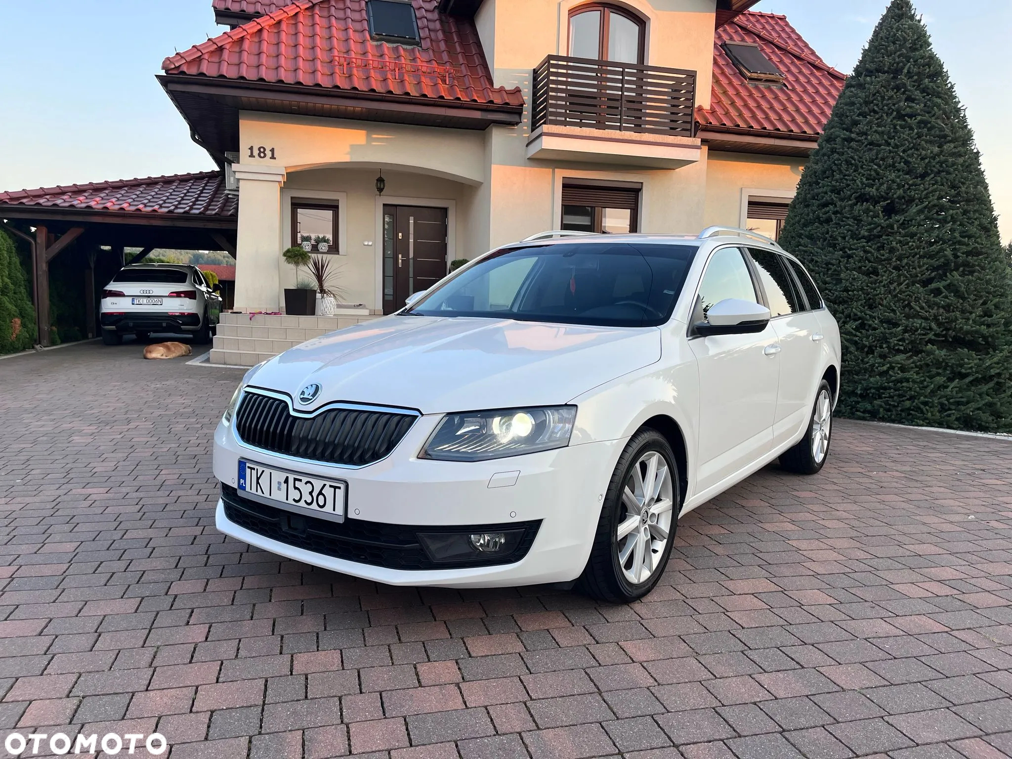 Skoda Octavia 1.4 TSI Edition DSG - 29