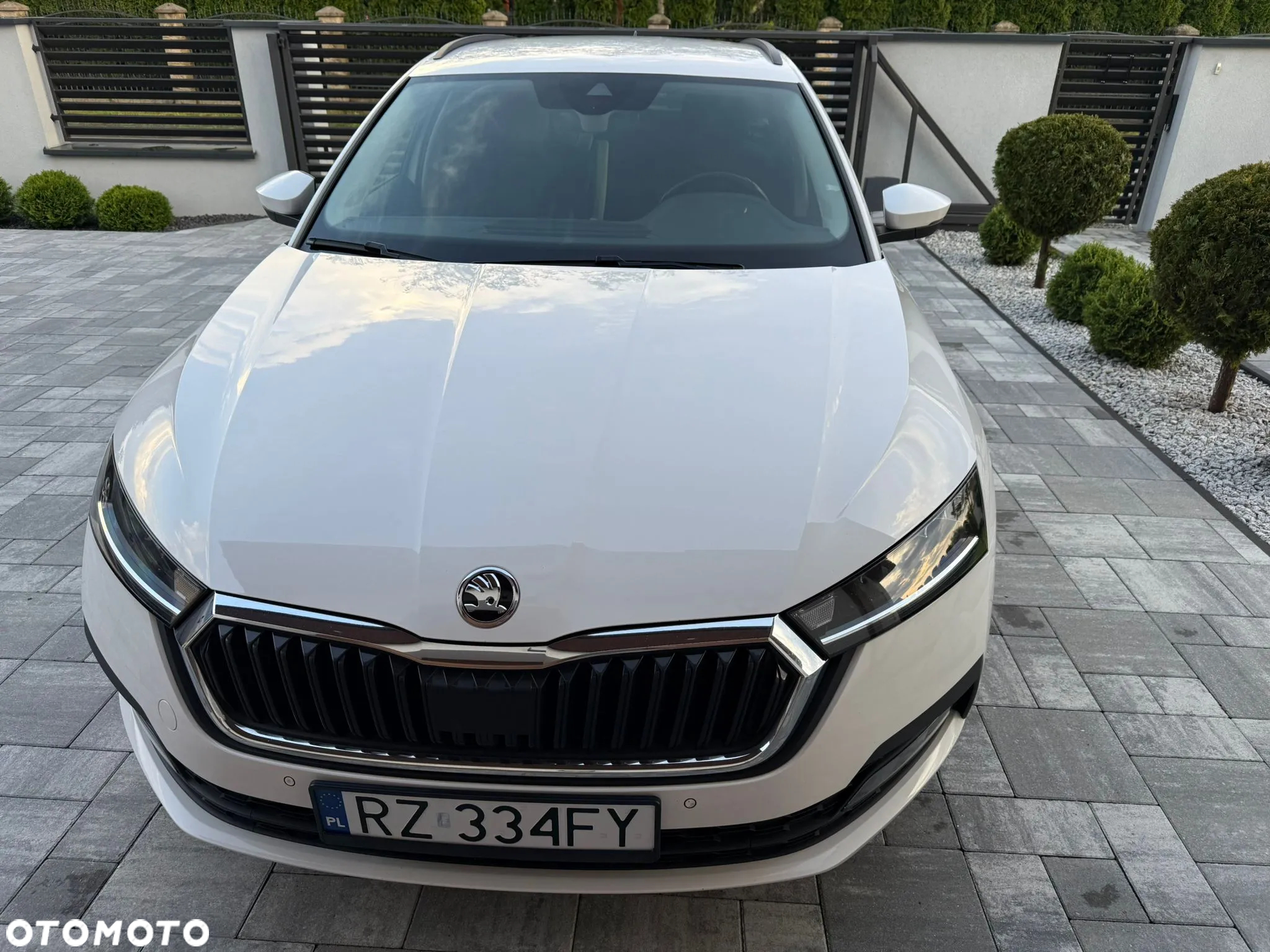 Skoda Octavia - 7