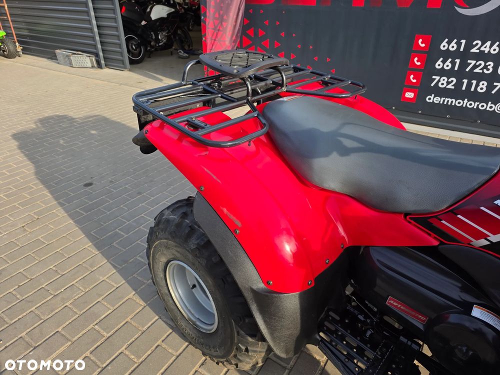 Kawasaki Brute Force - 14