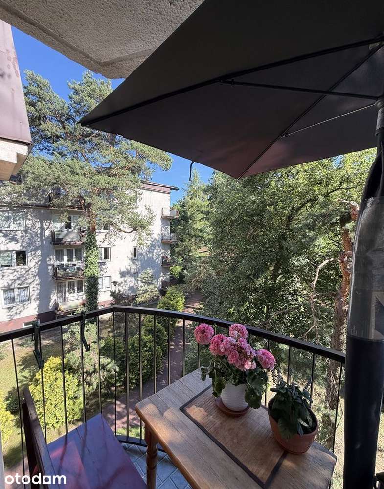 Przestronne 3 pokoje w otoczeniu sosen | 81,50 m²