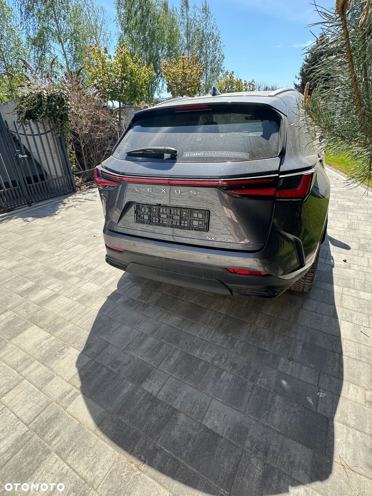 Lexus NX 350h Business 2WD - 1