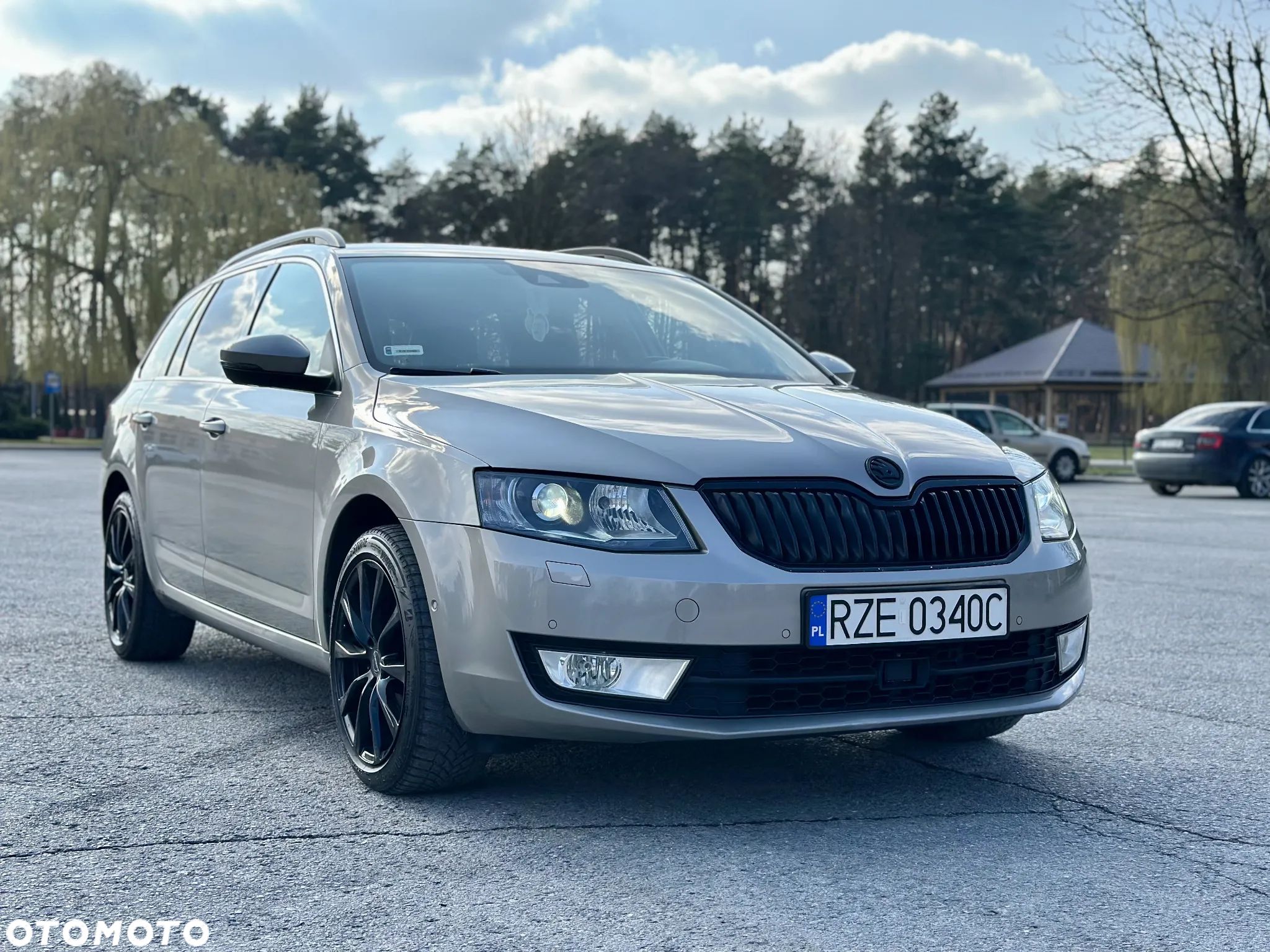 Skoda Octavia 1.8 TSI 4x4 Ambition DSG - 1
