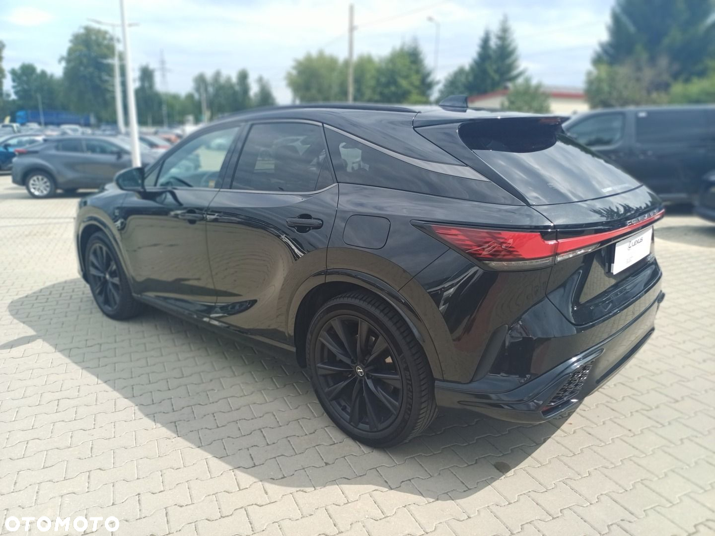 Lexus RX - 19