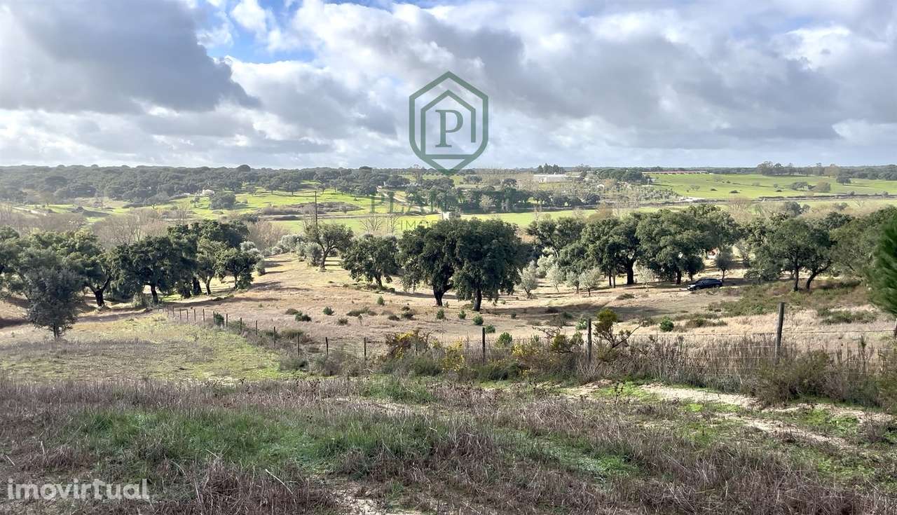 Quinta >=T10 Venda em Cortiçadas de Lavre e Lavre,Montemor-o-Novo - Grande imagem: 2/60