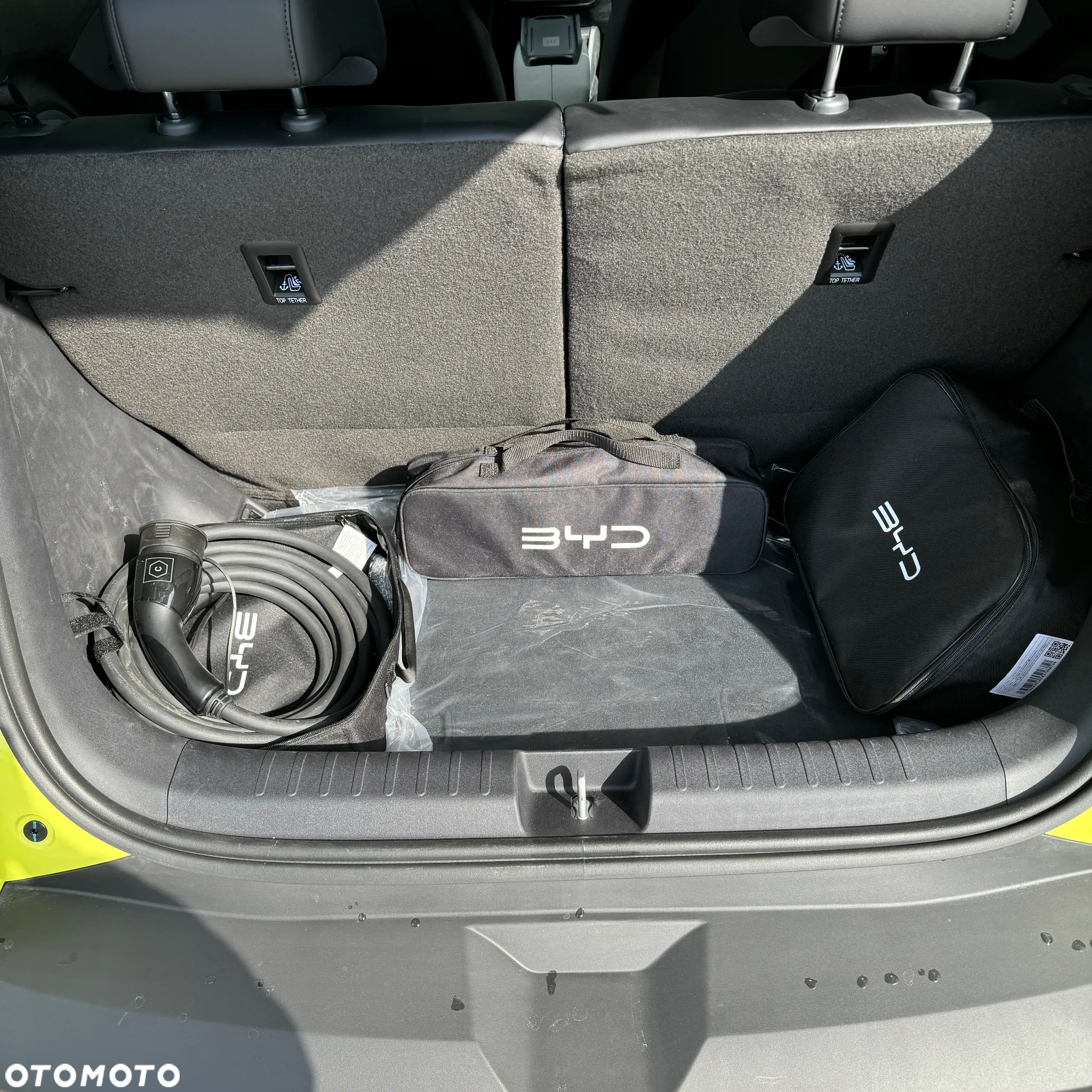 BYD Dolphin Surf - 15