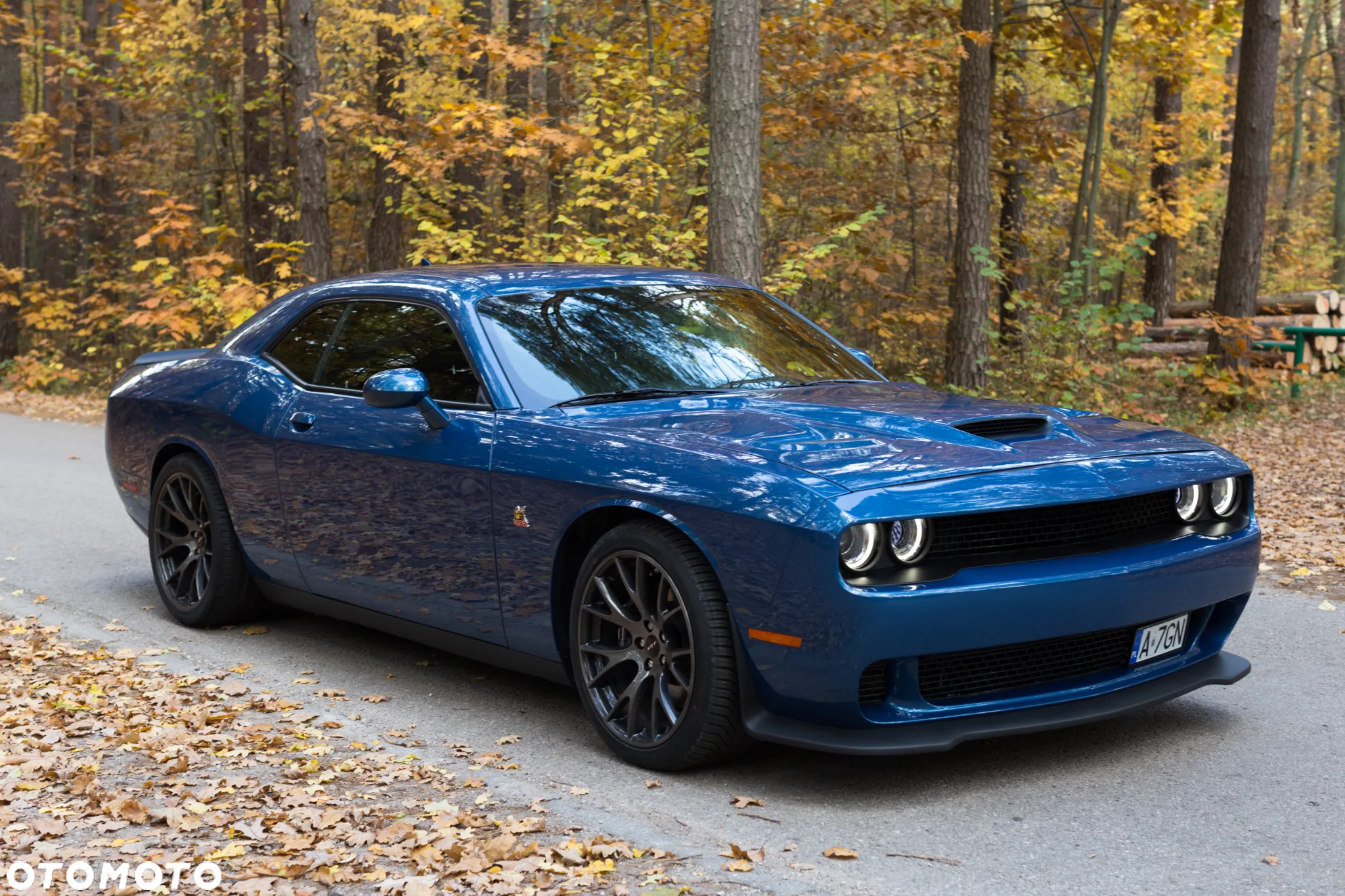 Dodge Challenger - 4