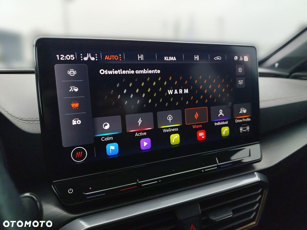 Cupra Formentor - 31