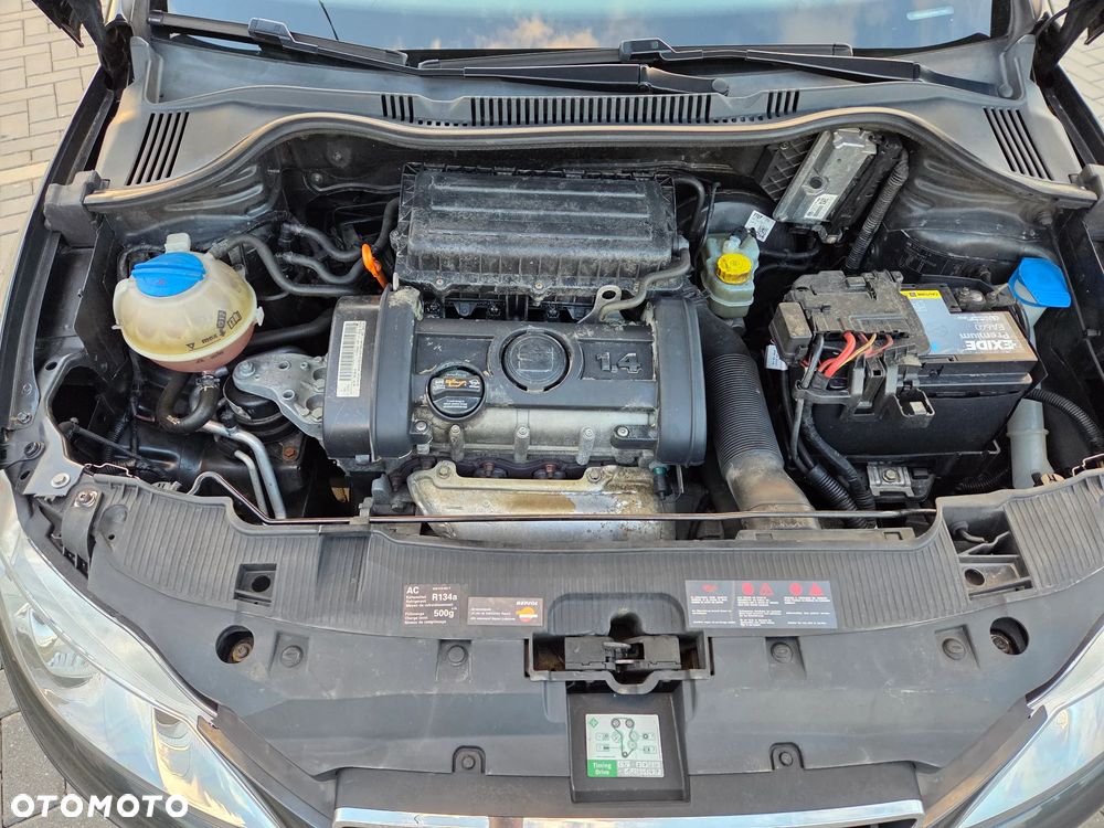 Seat Ibiza - 18