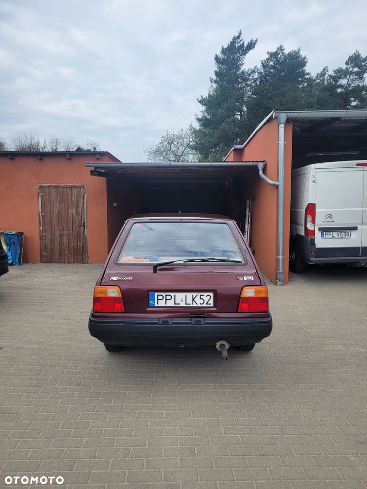 Polonez Caro - 1