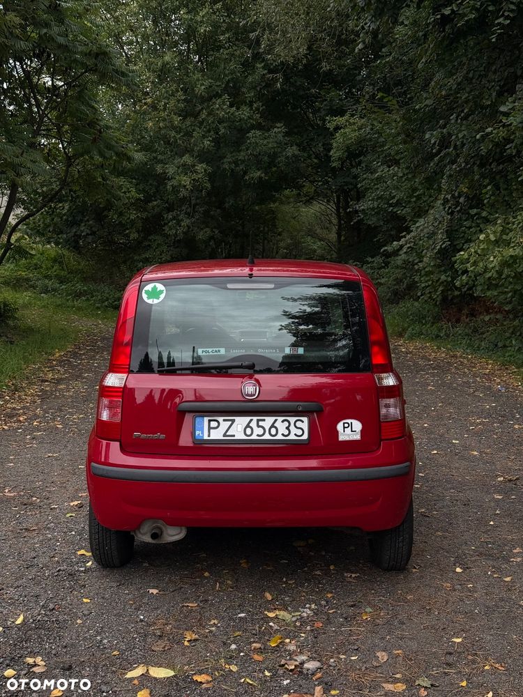 Fiat Panda - 3