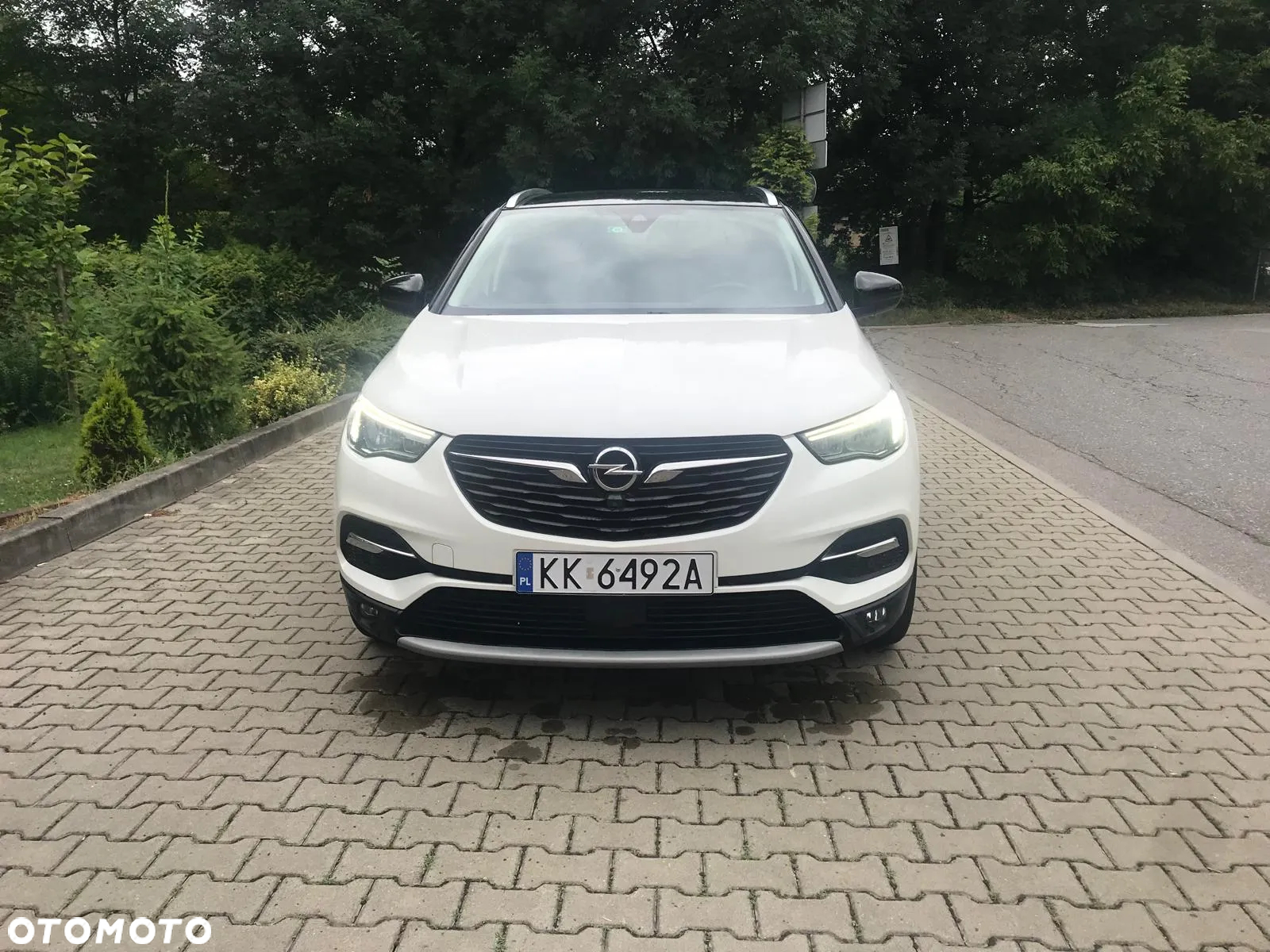 Opel Grandland X 1.6 CDTI Innovation S&S - 2