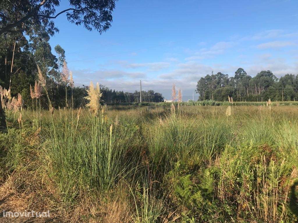 Terreno para construção - Estarreja - Grande imagem: 5/8