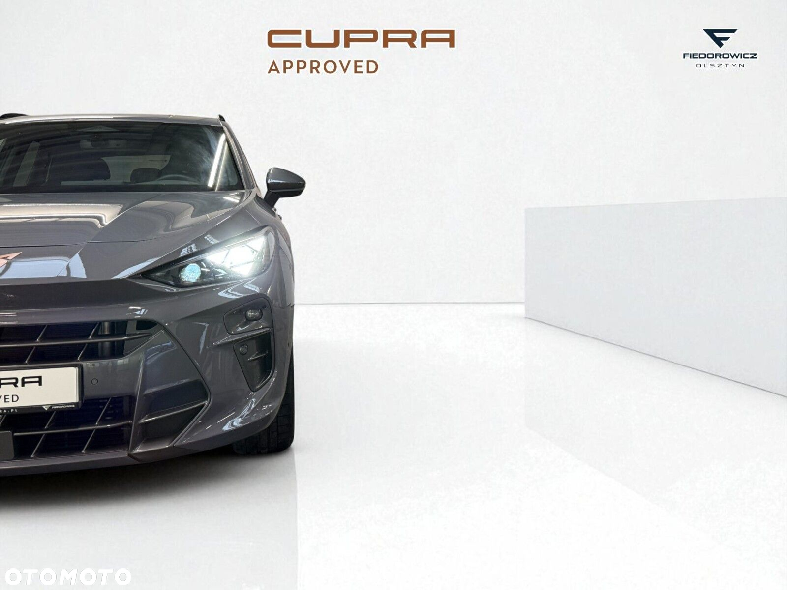 Cupra Terramar 2.0 TSI 4Drive VZ DSG - 14