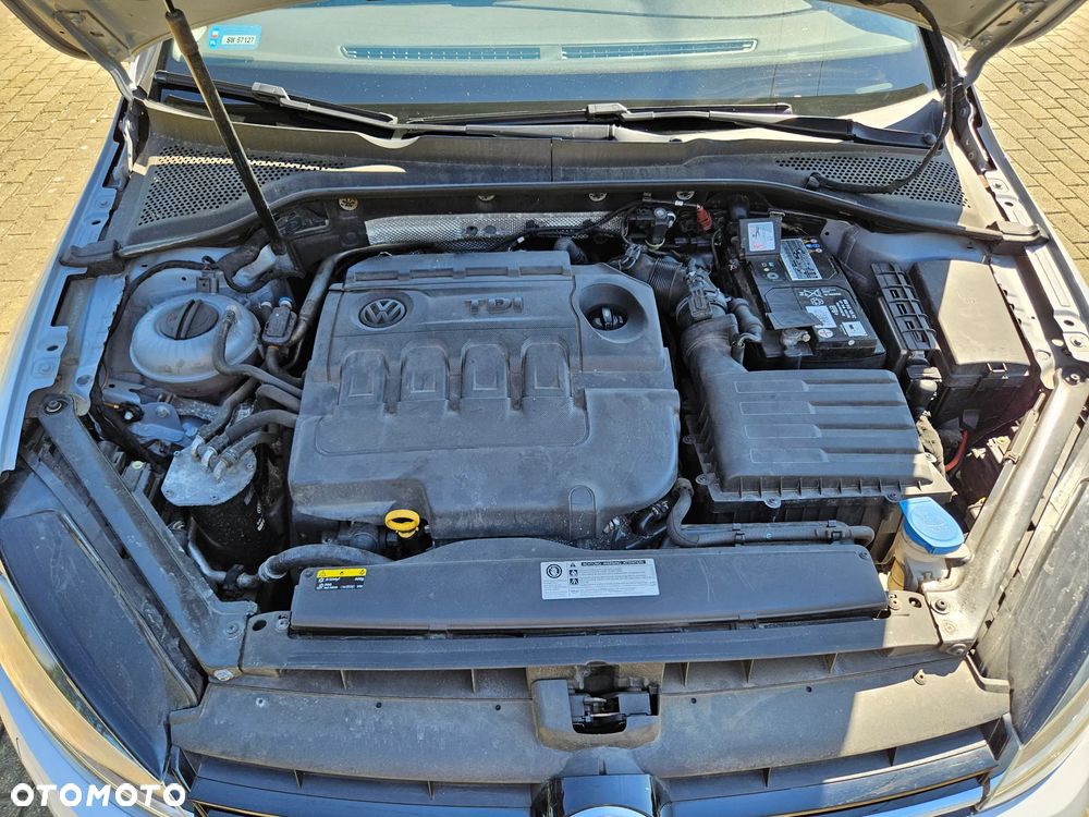 Volkswagen Golf - 38