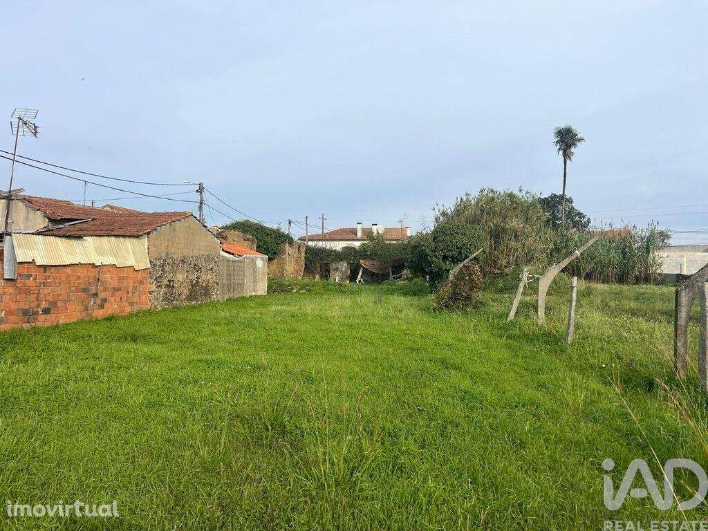 Terreno Agrícola em Ovar, São João, Arada e São Vicente de Pereira Jus - Grande imagem: 5/11