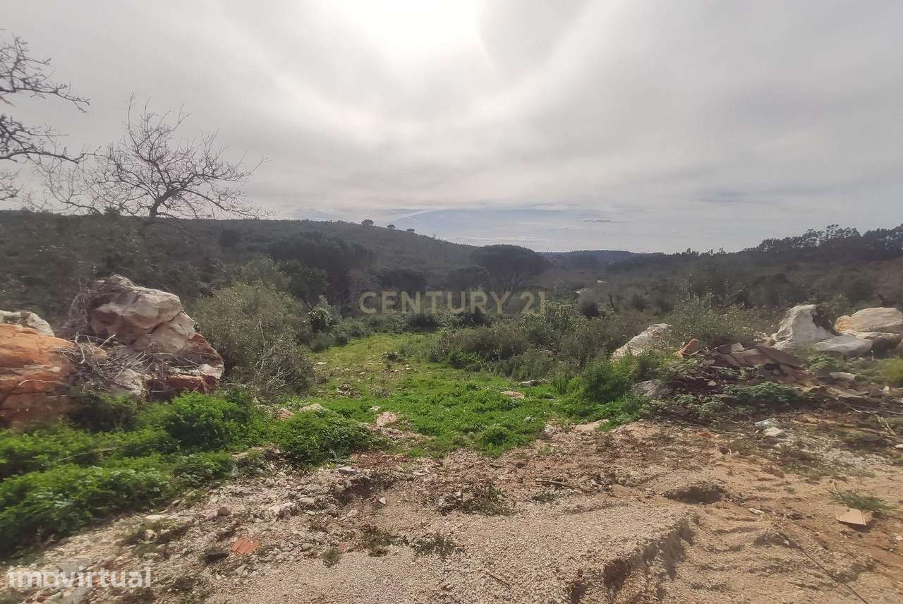 Terreno para venda em Ansião – Excelente oportunidade de investimento - Grande imagem: 2/8
