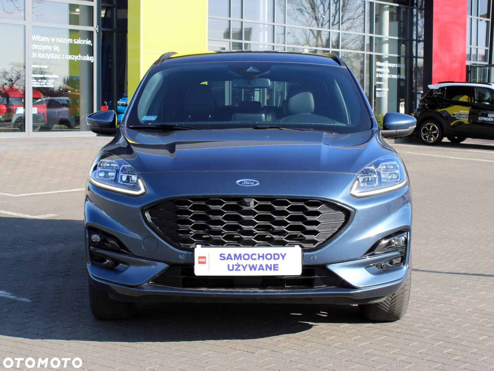 Ford Kuga 2.0 EcoBlue AWD ST-Line X - 3