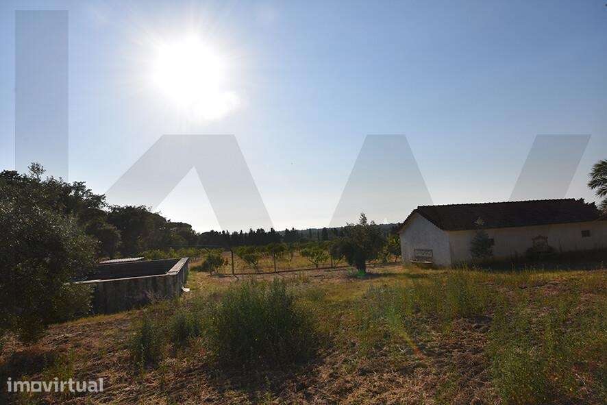 Quinta das Ladeiras – Oportunidade de investimento em Azeitão - Grande imagem: 5/22