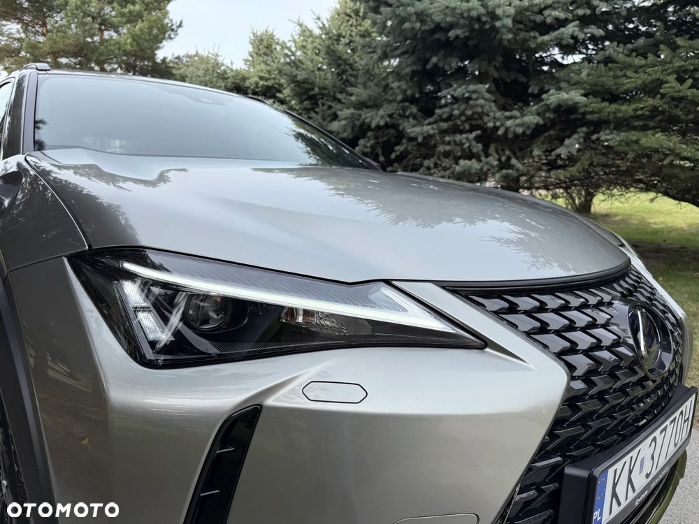 Lexus UX 250h GPF F Sport Design 2WD - 32