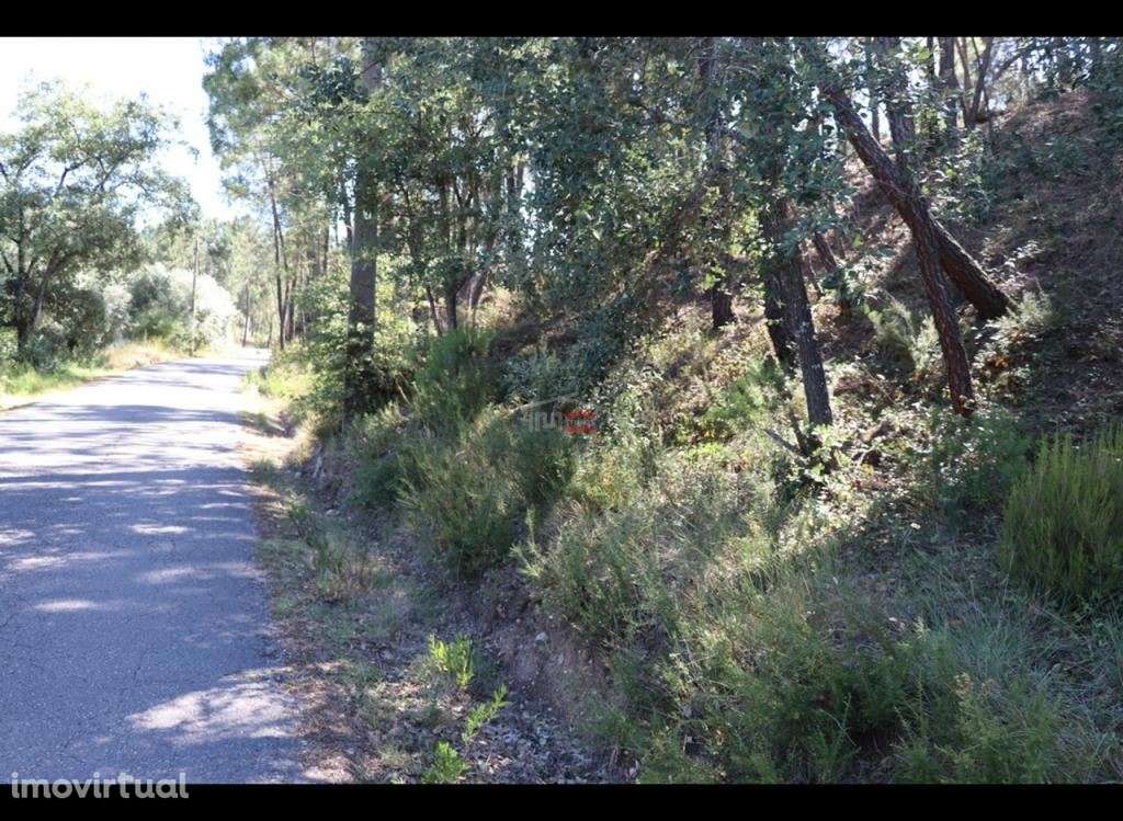 Terreno - Grande imagem: 4/10