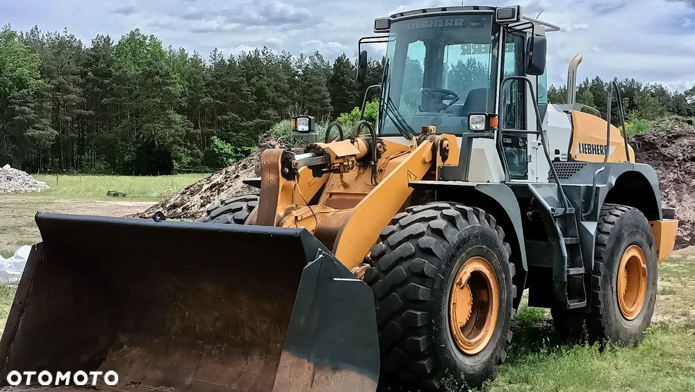 Liebherr L544 - 3