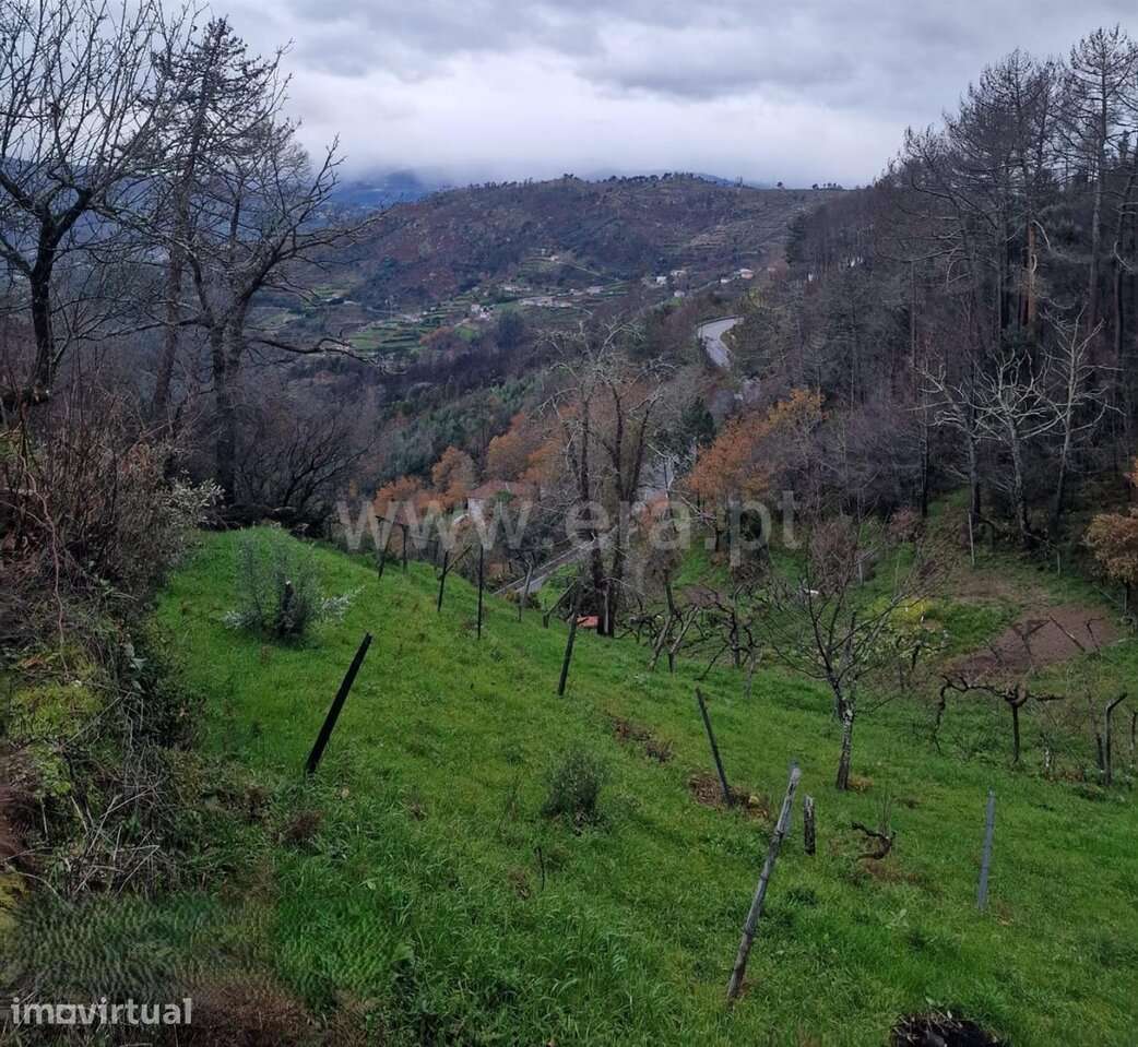 Moradia T1 / Baião, Santa Cruz do Douro e São Tomé de Covelas - Grande imagem: 3/7