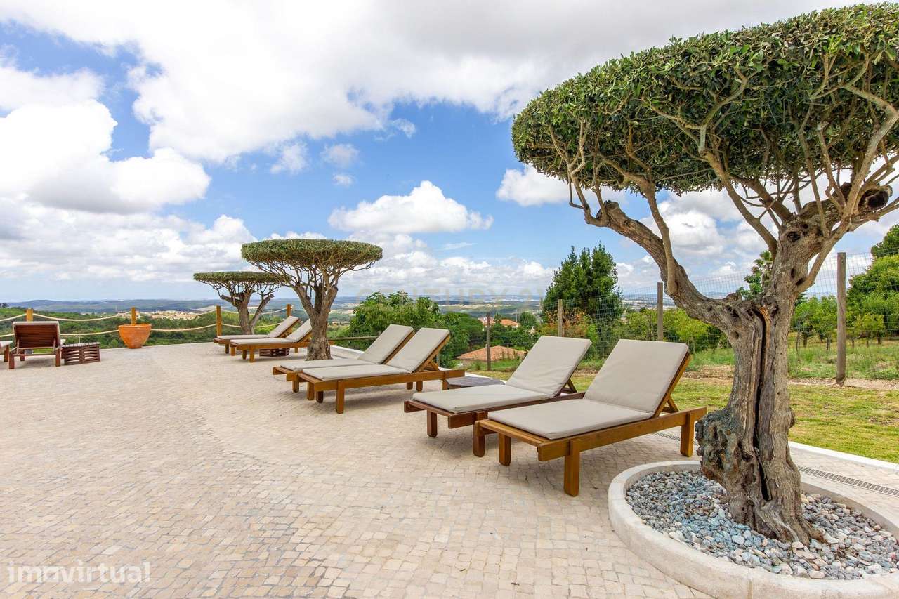 Pragança / Cadaval - Quinta com 9.000m² para habitação e Turismo Rural - Grande imagem: 5/60