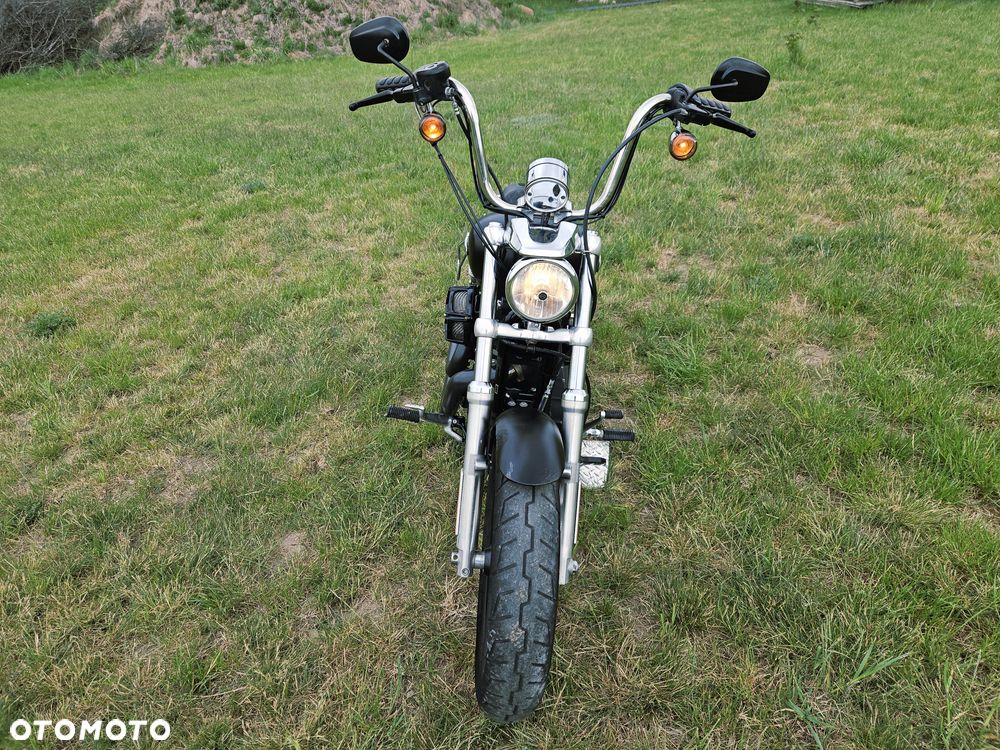 Harley-Davidson Sportster Custom 1200C - 6